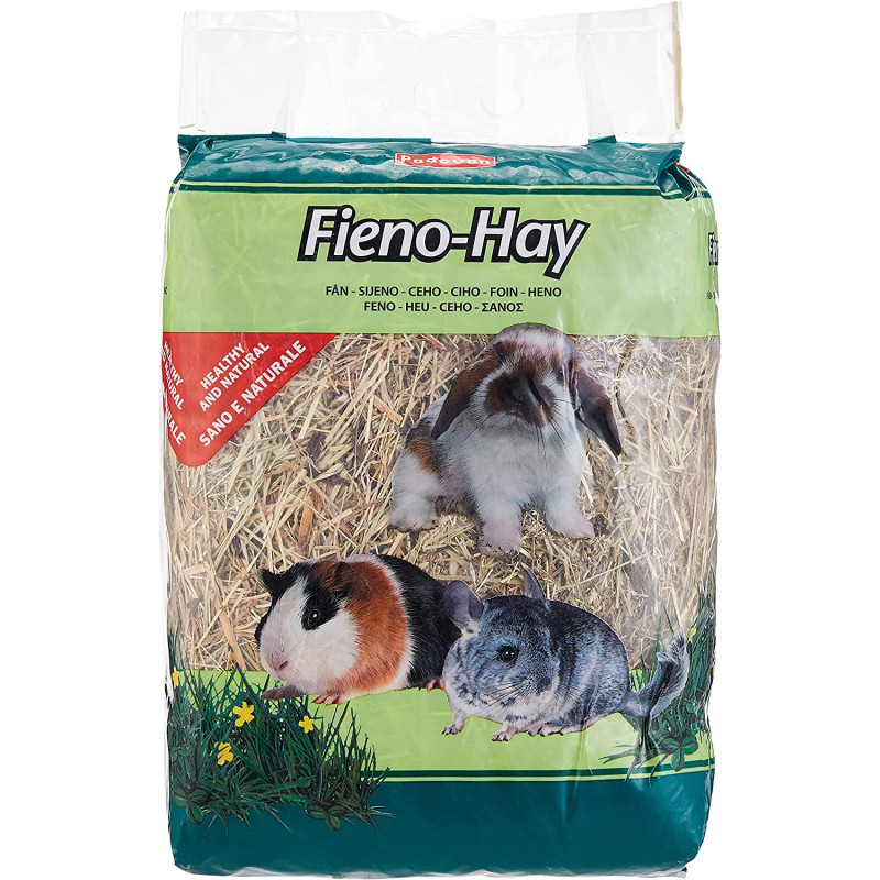 Padovan Fieno Hay 1Kg Feed For Dwarf Rabbits Guinea Pigs And Chinchillas