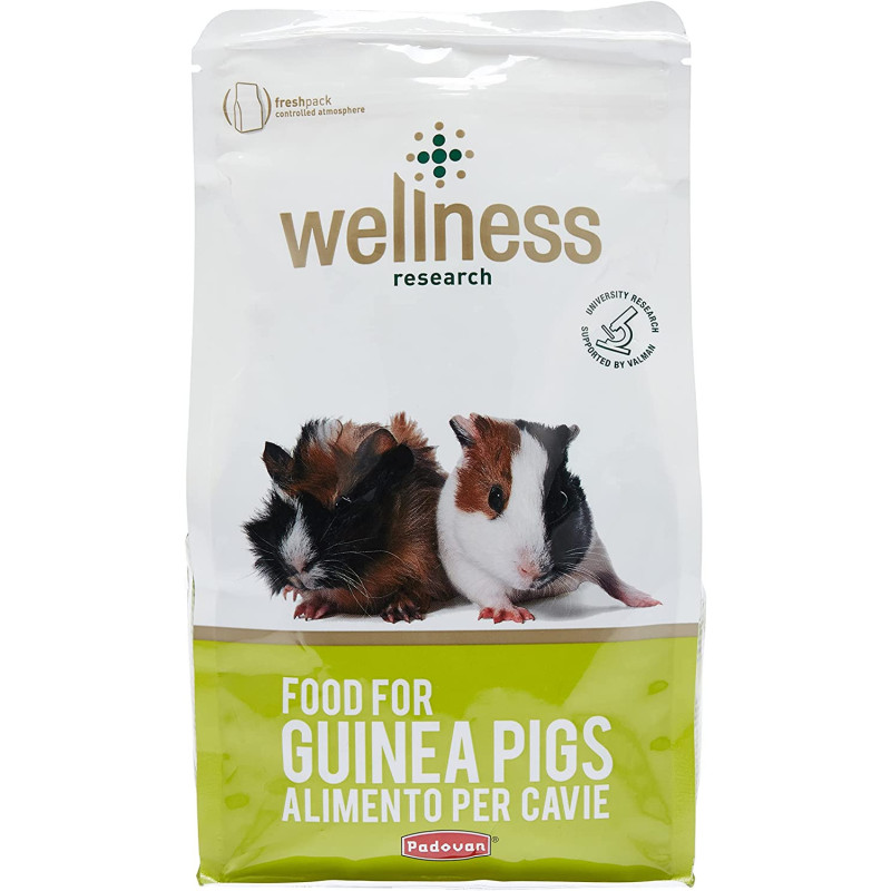 Padovan Wellness Guinea Pigs 1Kg Multi Colour