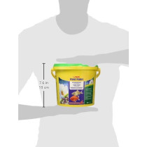 Sera Pond Bioflakes Fish Food 3800 ml 7075 1.2 Pound Pack Of 1