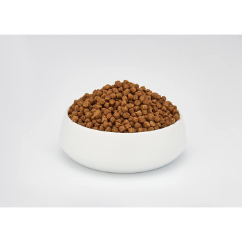 Schesir Cat Dry Food Maintenance With Chicken 10kg multicolor 43914