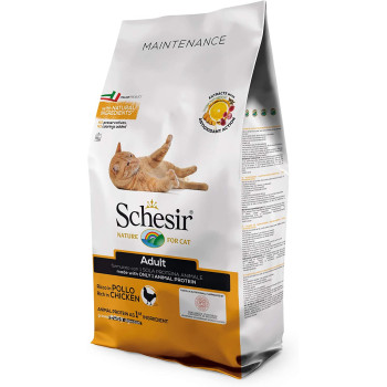 Schesir Cat Dry Food Maintenance With Chicken 10kg multicolor 43914