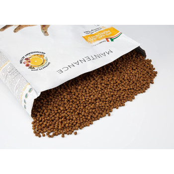 Schesir Cat Dry Food Maintenance With Chicken 10kg multicolor 43914