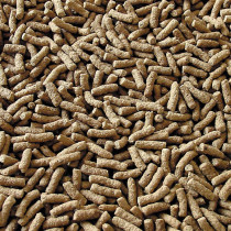 Sera Pond Biogranulat 3800ML Granulated Food For Pond Fishes 7175 4001942071758