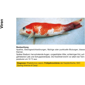 Sera Pond Cyprinopur 250ml