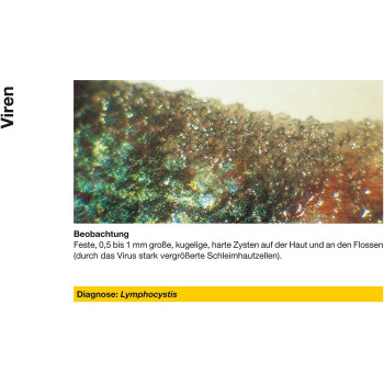 Sera Pond Cyprinopur 250ml