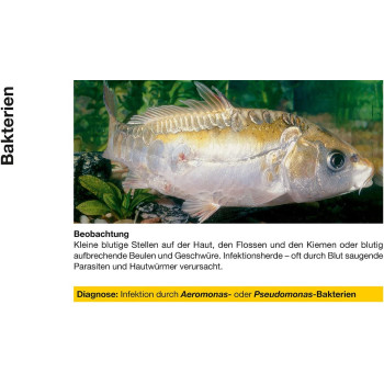 Sera Pond Cyprinopur 250ml