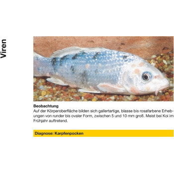 Sera Pond Cyprinopur 250ml