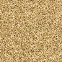 Sera Bettagran Fish Food Colour Enhancement Food 10gm