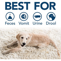Simple Solution Extreme Dog Stain Odour Remover 32 Oz White