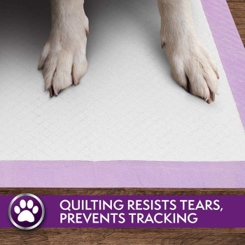 Simple Solution Premium Dog and Puppy Training Pads White Pack of 50
