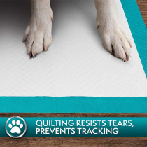 Simple Solution Premium Dog And Puppy Training Pads White Pack Of 100
