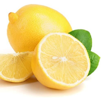 Simple Solution Chew Stopper White 500 ml 500 ml Pack Of 1