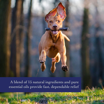 Synergy Lab Richard Organic Incredible Skin Spray 354 ml