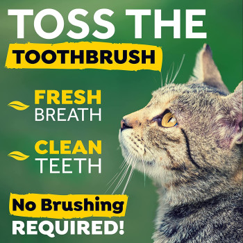 Tropiclean Fresh Breath Water Add Cat 473ml