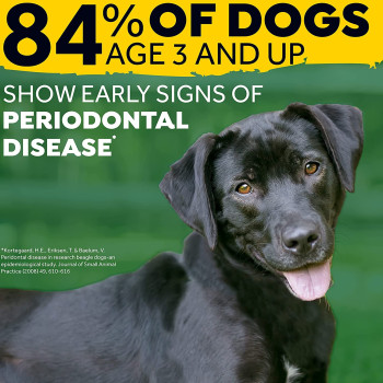 Tropiclean Fresh Breath Pet Mint Foam Plaque Remover 4.5oz