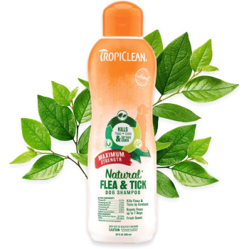 TropiClean Natural Flea & Tick Maximum Strength Shampoo for Dogs 20oz Kills Fleas Ticks Larva Eggs by Contact Soap Free Treatment for Pest Prevention Made with Essential Oils Made in USA