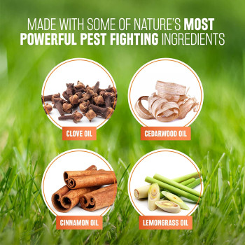 TropiClean Natural Flea & Tick Maximum Strength Shampoo for Dogs 20oz Kills Fleas Ticks Larva Eggs by Contact Soap Free Treatment for Pest Prevention Made with Essential Oils Made in USA