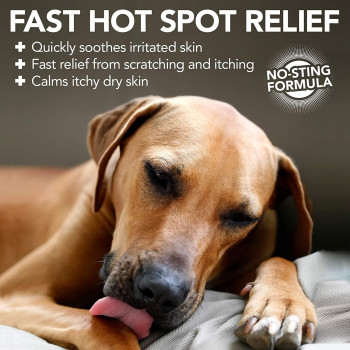Vet s Best 3165810135 Quick Soothe Hot Spot Foam Dogs White 4oz