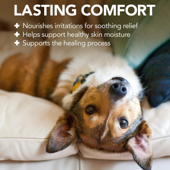 Vet s Best 3165810135 Quick Soothe Hot Spot Foam Dogs White 4oz