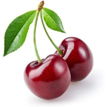 Vet S Best Bitter Cherry Spray No Chew Dog Deterrent White 7.5 Oz.