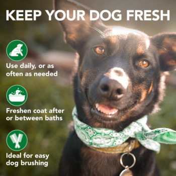 Vet S Best 31658100057 Moisture Mist Conditioner Spray White 16 Oz.