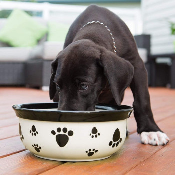 Vet S Best Dental Breath Freshener White 500 ml 500 ml Pack Of 1