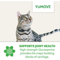 Lintbells Yumove Cat Hip And Joint Supplement For Stiff Cats All Ages And Breeds 60 Capsules Clear