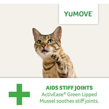 Lintbells Yumove Cat Hip And Joint Supplement For Stiff Cats All Ages And Breeds 60 Capsules Clear