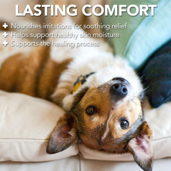 Vet s Best Dog Hot Spot Itch Relief Spray White 8 oz