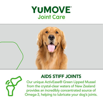 Yumega Lintbells Yumove Adult Dog Hip And Joint Supplement For Stiff Dogs Aged 6 To 8 60 Tablets 60 Count Pack of 1