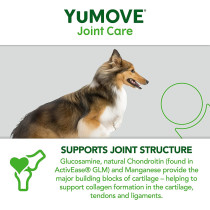 Yumega Lintbells Yumove Adult Dog Hip And Joint Supplement For Stiff Dogs Aged 6 To 8 60 Tablets 60 Count Pack of 1