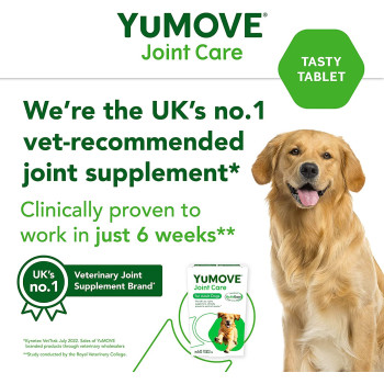 Yumega Lintbells Yumove Adult Dog Hip And Joint Supplement For Stiff Dogs Aged 6 To 8 60 Tablets 60 Count Pack of 1