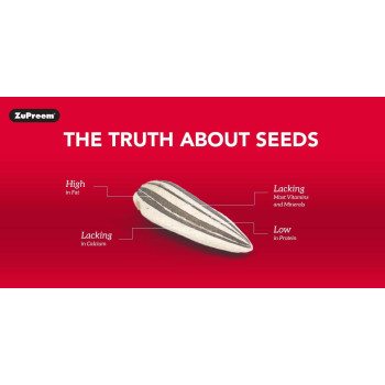 FruitBlend Flavor Medium & Large Parrot Food 12 lb