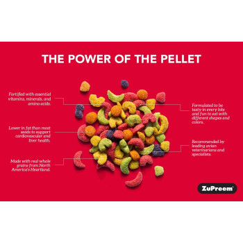 FruitBlend Flavor Medium & Large Parrot Food 12 lb