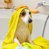 Vet s Best Oatmeal Medicated Dog Shampoo White 16 oz.