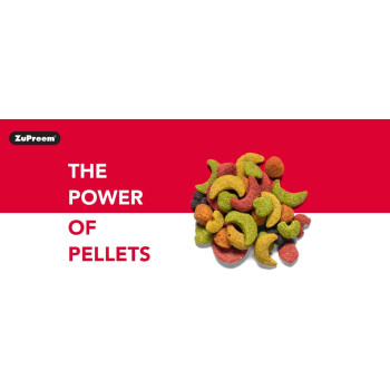 Fruitblend For Medium Large Parrots 35 Lb