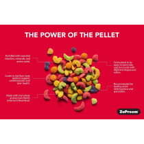 Fruitblend Flavor For Extra Small Birds 2Lb