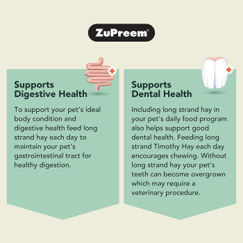 Zupreem Food Nature S Promise Timothy Hay 14 Oz