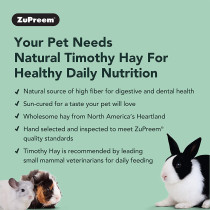 Zupreem Food Nature S Promise Timothy Hay 14 Oz