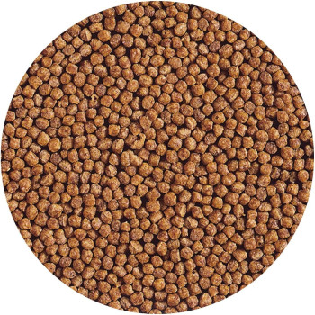 HIKARI GOLDFISH GOLD