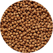 Hikari Cichlid Gold Sinking Mini Pellet