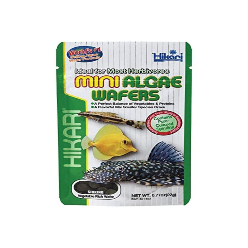 Hikari Mini Algae Wafers