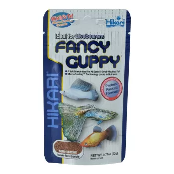 HIKARI FANCY GUPPY