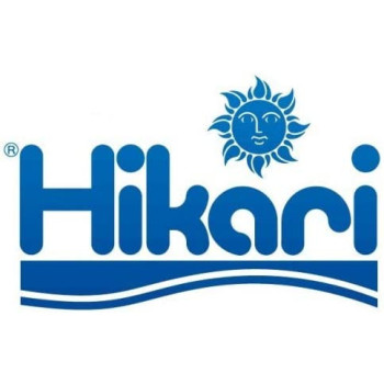 Saki Hikari Fancy Goldfish Extreme Sinking