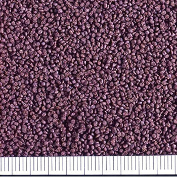 Saki Hikari Fancy Goldfish Extreme Sinking