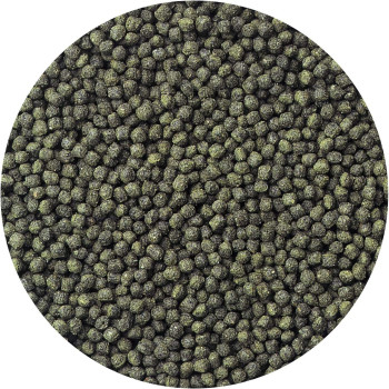 Hikari Cichlid Excel M