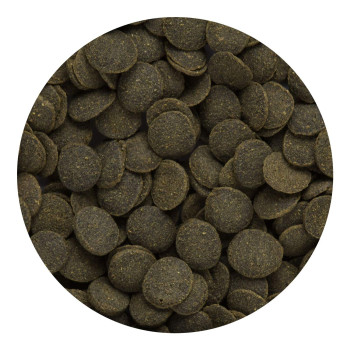 Hikari Algae Wafers Mini Fish Feed