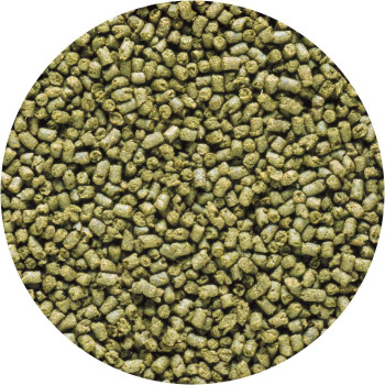 Hikari Saki Marine Herbivore