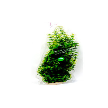 Taiyo Aquarium Plants 24 For Aquarium Decoration