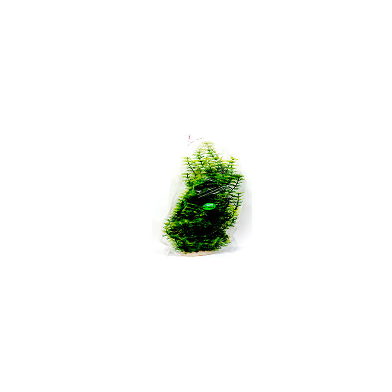 Taiyo Aquarium Plants 24 For Aquarium Decoration